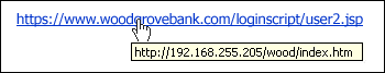 phishing_fake_url2